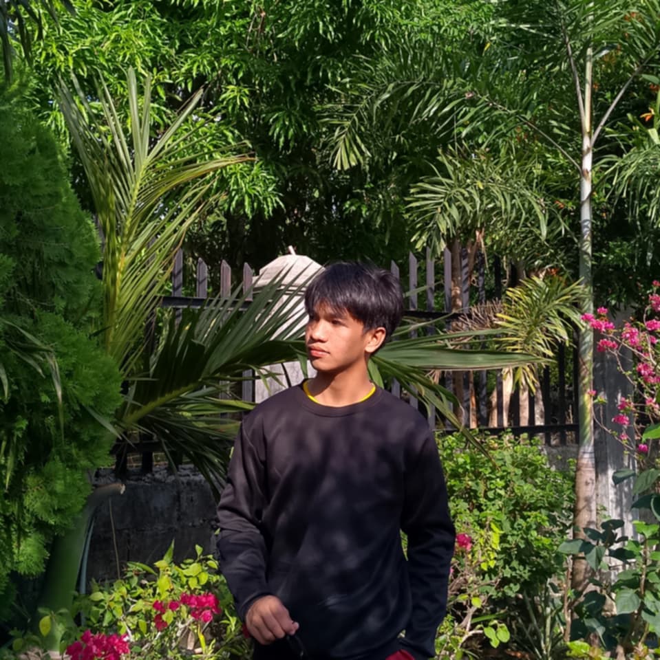 My Photo